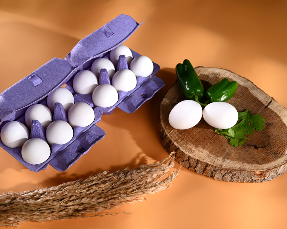 egg-tray